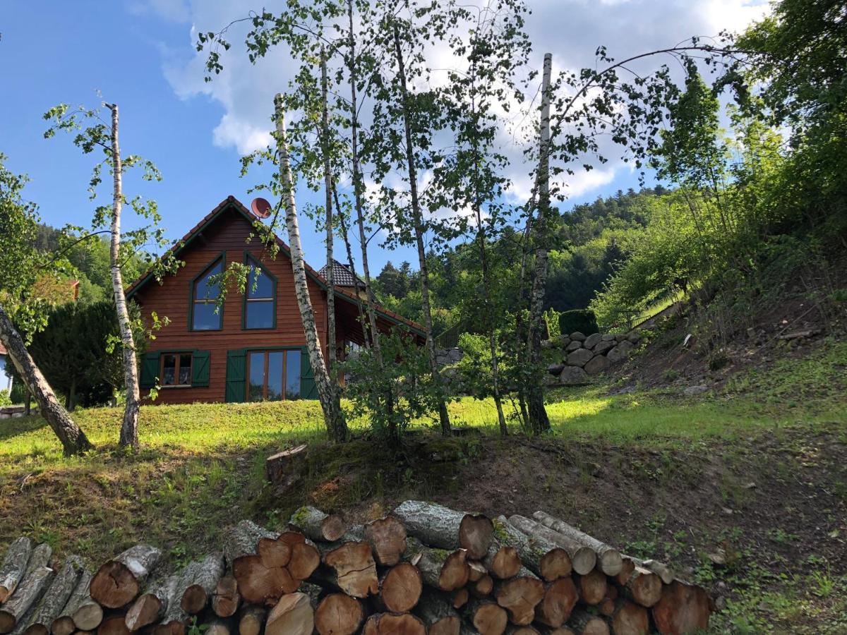 Chalet De Fréland Екстериор снимка